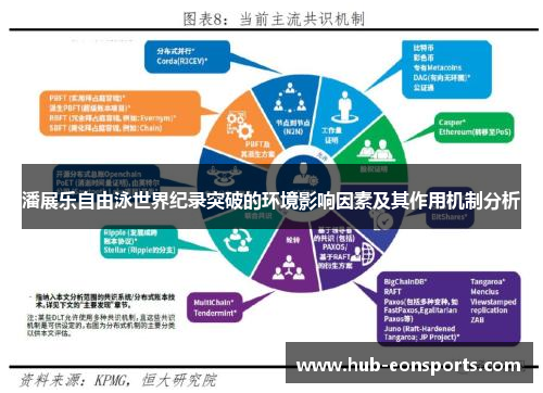潘展乐自由泳世界纪录突破的环境影响因素及其作用机制分析