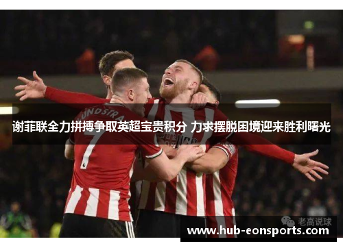谢菲联全力拼搏争取英超宝贵积分 力求摆脱困境迎来胜利曙光
