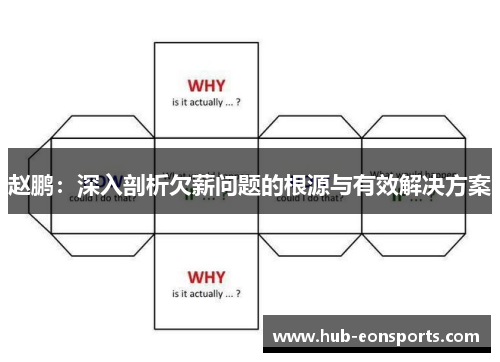 赵鹏：深入剖析欠薪问题的根源与有效解决方案
