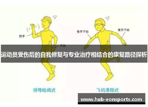 运动员受伤后的自我修复与专业治疗相结合的康复路径探析