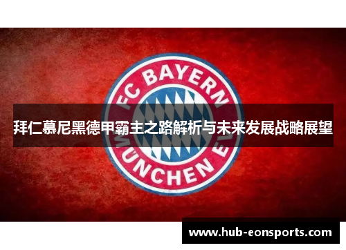 拜仁慕尼黑德甲霸主之路解析与未来发展战略展望